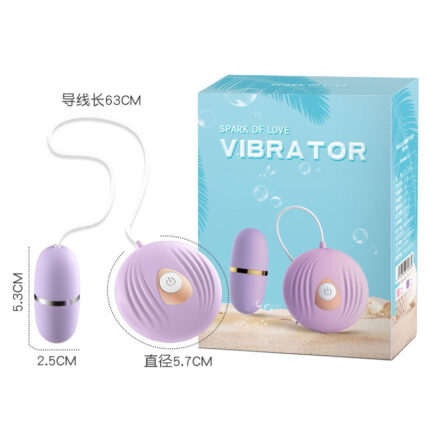 Purple Wire Remote Control Mini Vibrator UnderWear Pants Portable Vibe